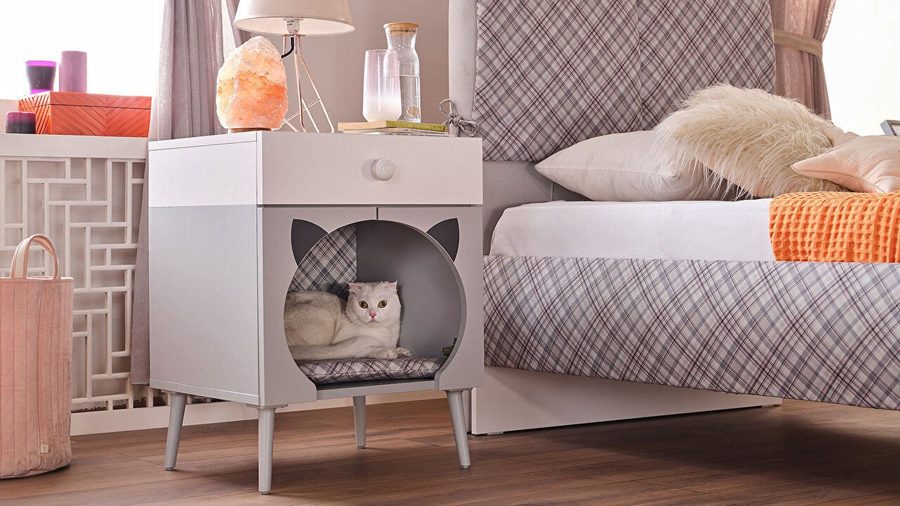 Selina Kedi Evi