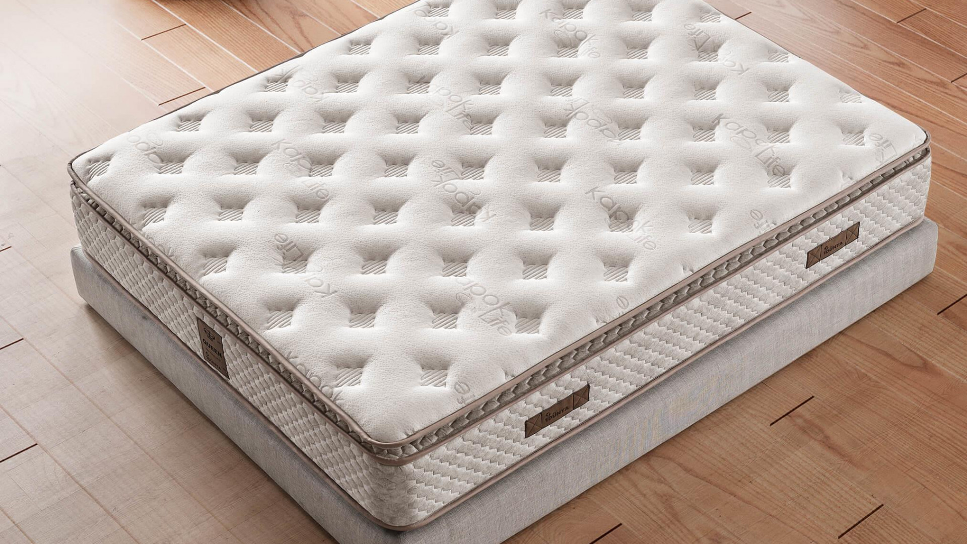 Eclipse Bettbox + Kopfteil